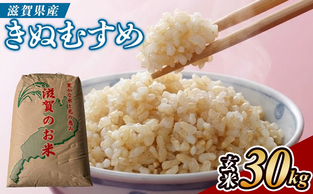 
                  【令和7年産】近江米きぬむすめ玄米30kg 米  30kg 産地直送 キヌムスメ (173433-40043425)
                