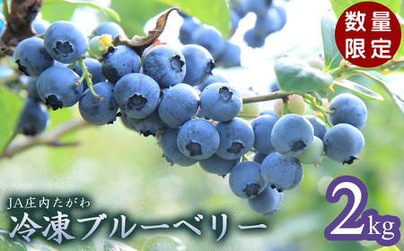 令和7年産【数量限定】JA庄内たがわの庄内産 冷凍ブルーベリー 2kg 【K-739】