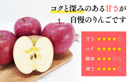 1～2月発送 贈答規格サンふじ約3kg【青森県平川市産・青森りんご】