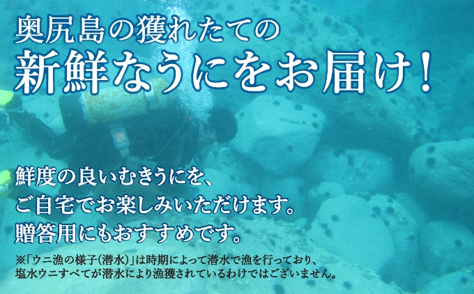 北海道奥尻産「キタムラサキウニ」ミョウバン不使用 選べる容量・個数 1～5パック (塩水パック) | 北海道 奥尻町 送料無料