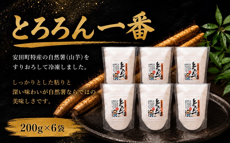 
                  安田町産 中山 自然薯とろろん1番(すりおろし)6袋 とろろ 冷凍 小分け 自然薯 すりおろし 200g 6袋 簡単調理 野菜 やさい ぽん酢 鍋 芋 ふるさと納税野菜 ふるさと野菜 クリスマス 年末年始 人気 プレゼント 高知県  安田町 JN-02
                
