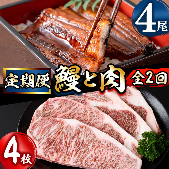 【ふるさと納税】【定期便全2回】鰻と肉の定期便！ステーキ4枚と鰻4尾をお届け！鹿児島県産黒毛和牛サーロインステーキ(200g×4枚・計800g) 伊崎田のうなぎ蒲焼 (150g以上×4尾・計600g以上)【伊崎田養魚場】【サンキョーミート】