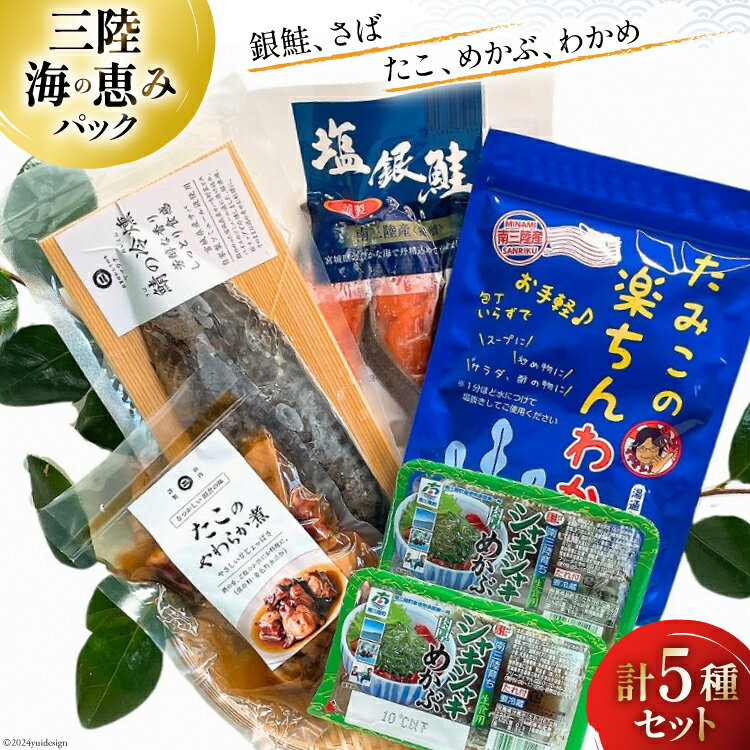 【ふるさと納税】海鮮 詰め合わせ 三陸 海の恵み 5種 セット [たみこの海パック 宮城県 南三陸町 30ae0033] 海鮮セット 魚介 魚介類 魚 海藻 藻 鮭 銀鮭 しゃけ 酒 さけ サバ 鯖 さば たこ わかめ めかぶ