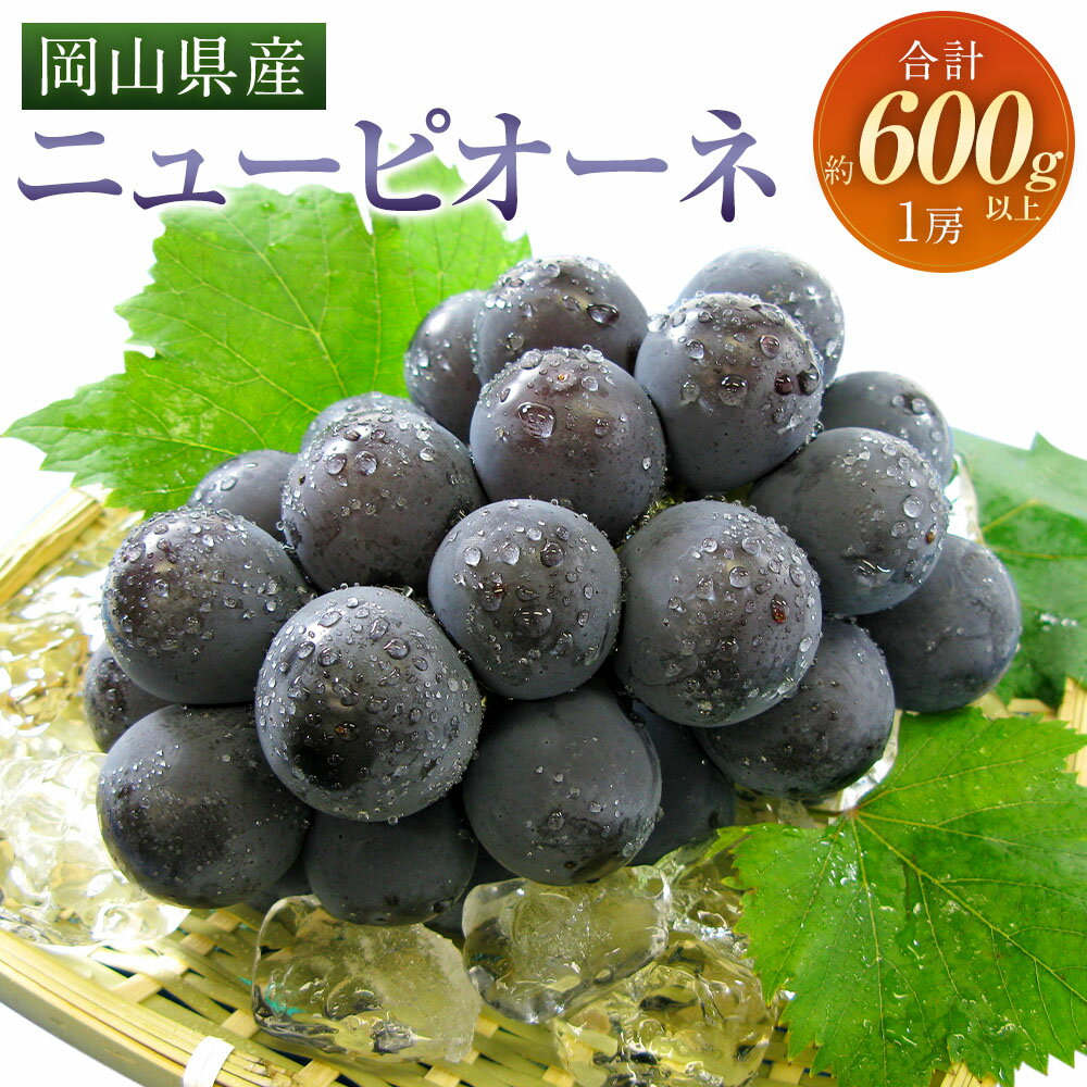 【ふるさと納税】ぶどう 2026年 先行予約 ニューピオーネ 1房 600g以上 ブドウ 葡萄 くだもの 果物 果実 フルーツ 環山堂 ギフト 贈答 冷蔵 岡山県産 国産 岡山県 奈義町 送料無料 【2026年8月下旬～9月下旬 発送予定】