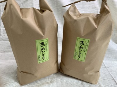 令和7年産 近江米 キヌヒカリ 10kg ( 5kg × 2袋 ) 環境こだわり米【AB63W】 白米 きぬひかり