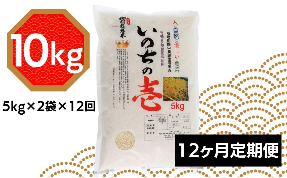
                  【新米】先行予約 令和8年産 飛騨高山産「いのちの壱」（白米）10kg×12ケ月（定期便） AU118 クオリティ飛騨高山 米 お米 精米 玄米 ご飯 ごはん 特別栽培米
                