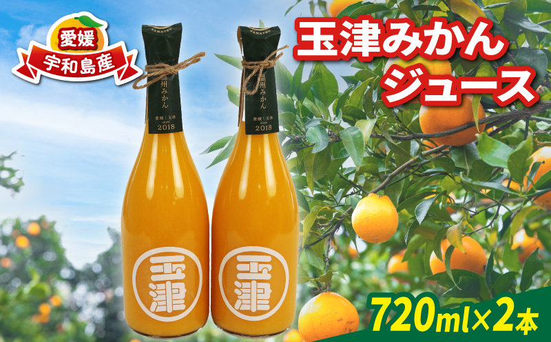 玉津 みかんジュース 温州みかん 720ml× 2本 玉津柑橘倶楽部 先行予約 100％ジュース ストレートジュース ジュース 愛媛みかん 愛媛蜜柑 愛媛ミカン うんしゅう みかん mikan 果物 