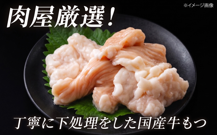 【国産牛使用】肉屋が作ったこだわりのもつ鍋 醤油味 3-4人前 酢もつ付 吉富町/株式会社吉浦コーポレーション もつ鍋 もつなべ モツナベ もつ鍋セット 博多 [BGAD085]