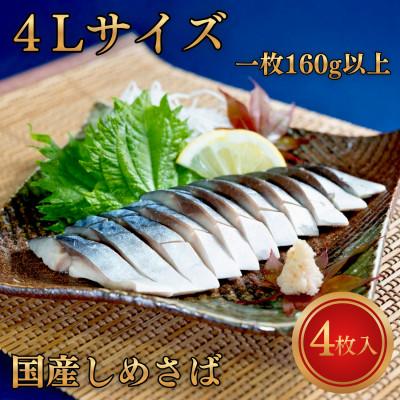 ふるさと納税 いすみ市 甘い!!国産しめさば 超極上4Lサイズ【1枚160g以上】