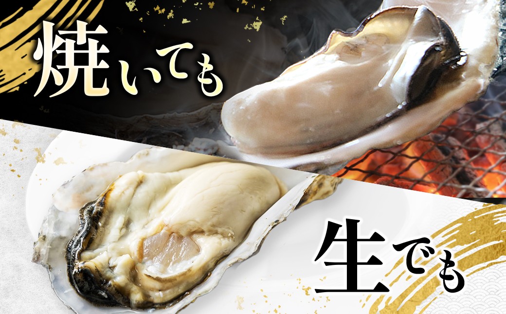 殻いっぱいの大粒な身！コク深い甘みが溢れ出す仙鳳趾の濃厚牡蠣