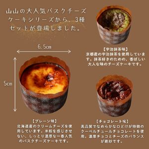 米粉 バスクチーズケーキ 3種 6個入り | バスク チーズケーキ スイーツ お菓子 焼き菓子 おやつ ご褒美 米粉 グルテンフリー 長野県 飯田市