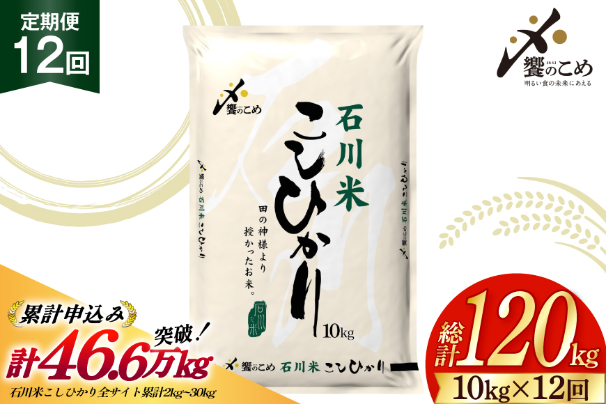 米 定期便 石川米こしひかり【穂立】10kg×12回 総計120kg 令和8年産 新米 [中橋商事 石川県 宝達志水町 38601403]コシヒカリ お米 コメ 12ヶ月 白米 精米 おこめ こめ 能