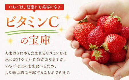 【2026年1月発送】 エコファーマー あまおう 約280g×2パック 計560g ／ いちご 苺 イチゴ ベリー 果物 フルーツ お取り寄せ デザート おやつ