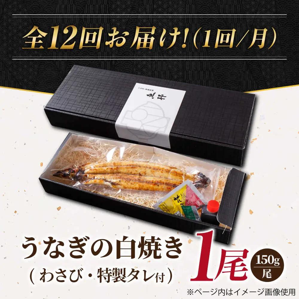 【12回定期便】国産 上うなぎ 白焼き 1尾 約150g / 鰻 ウナギ うなぎ 白焼き / 御嵩町 / 鰻 季節料理 魚邦[AVBH026]