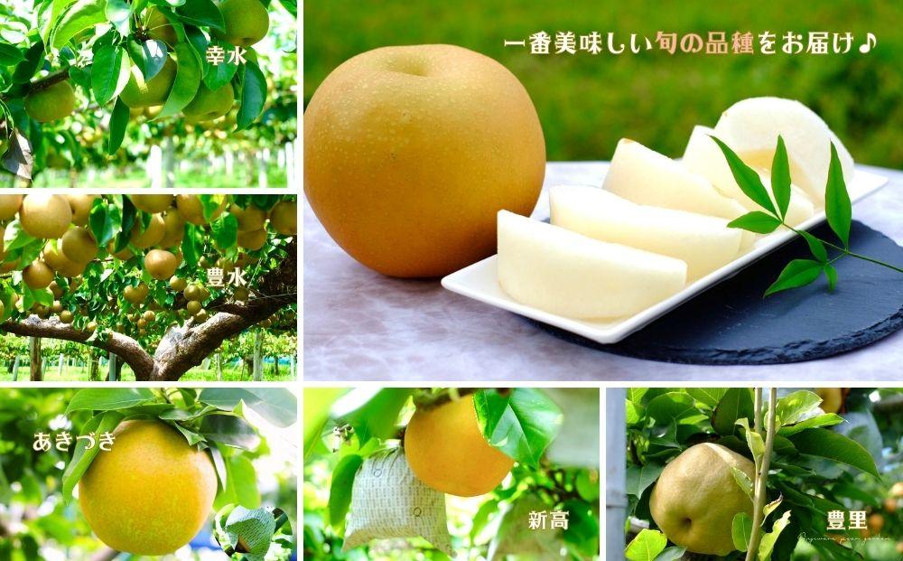 【約3kg】期間限定☆お楽しみ庄内梨　樹上完熟☆自然の恵みいっぱい！＜庄内梨の藤原＞大分県由布市特産品