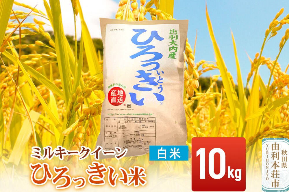 【白米】 秋田県産 ミルキークイーン 10kg 令和7年産 ひろっきい米 [ミルキークイーン 米 白米 精米 お米 おこめ ブランド米 食卓 おにぎり 秋田県産 秋田県 由利本荘市]