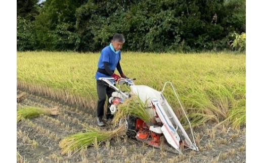 信州の恵み、松本市産のコシヒカリ