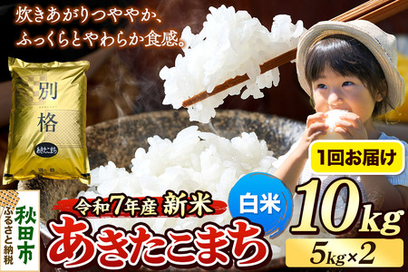 《令和7年産》 米 あきたこまち 10kg（5kg×2袋） 【白米】 秋田県産