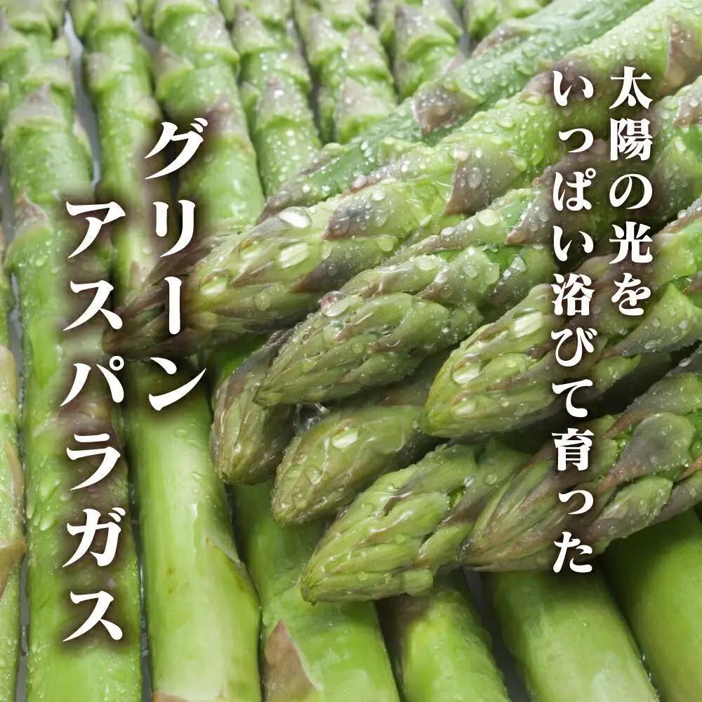 春収穫グリーンアスパラ Lサイズ 700g（2027年6月上旬から発送開始）| アスパラ 北海道_04558