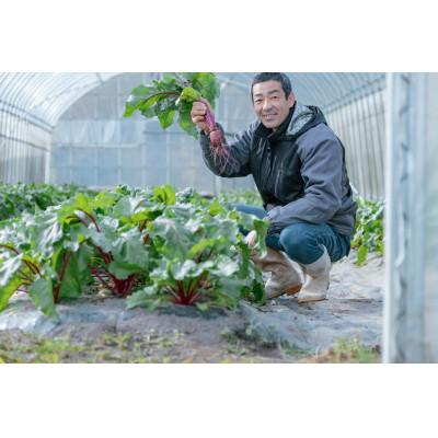 ふるさと納税 飯田市 レッドパワービーツ　1.5kg |  | 02