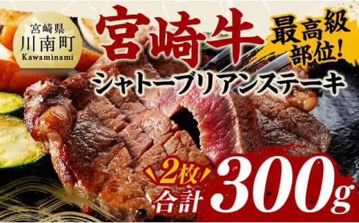 宮崎牛シャトーブリアンステーキ2枚　合計300ｇ【 肉 牛肉 国産 黒毛和牛 宮崎牛 ステーキ シャトーブリアン 牛肉 宮崎県 川南町 】 [D11406]	