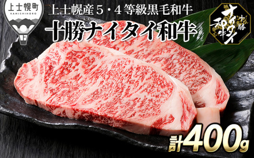 十勝ナイタイ和牛 サーロインステーキ 計400g（200g×2枚） 北海道産 5・4等級黒毛和牛 オレイン酸含有率55%以上 ［030-N60］ ※オンライン申請対応