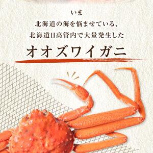 「訳あり」オオズワイガニボイル　6尾　合計約2.7kg ｜ オオズワイガニ