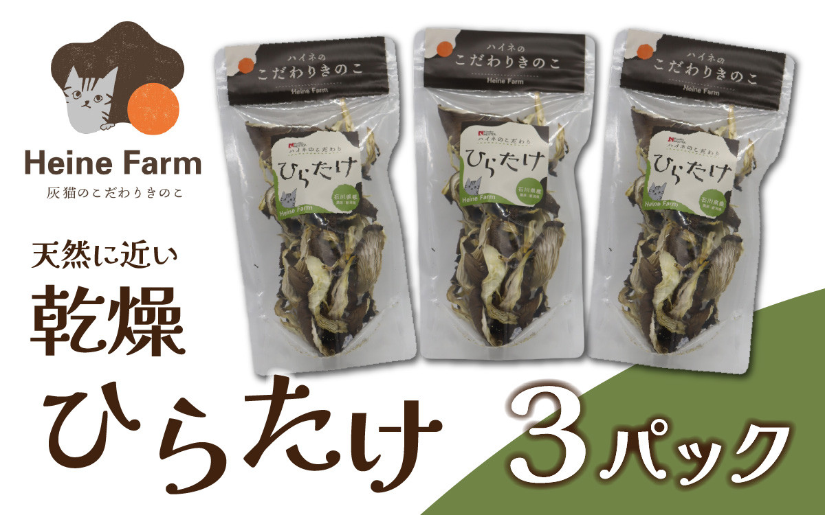 
            灰猫のひらたけ（乾燥）
          