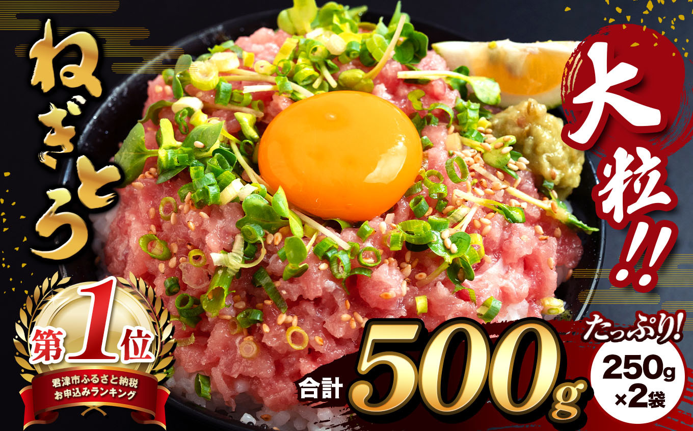 
            【選べる 回数 】 定期便 大人気！ねぎとろ 500g（250g×2袋） 清幸丸水産 1回 3回 6回 12回 | 【 ふるさとチョイス限定品 】 まぐろ マグロ 鮪 手巻き寿司 韓国ユッケ 海鮮丼 チョイス限定
          