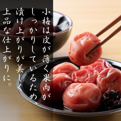 ふるさと納税 田辺市 青梅【小梅】 3kg(2027年5月頃から順次発送予定)/ 生梅【tcs019】 |  | 01