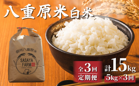【寄附額改訂↓】令和８年新米予約【3回定期便】八重原米5kg（5kg×1袋）合計15kg 白米 コシヒカリ 特A米 ※2026年10月以降順次発送｜笹屋農園「農薬削減長野県認証取得」先行予約 お米