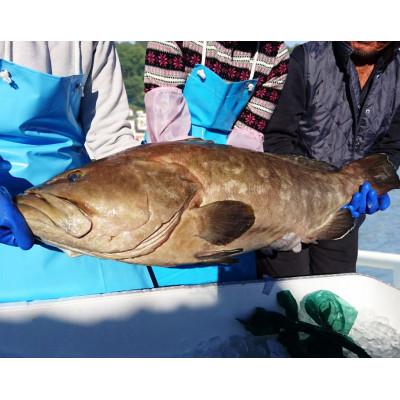 ふるさと納税 佐世保市 よか魚長崎産天然クエ鍋とクエ刺身 |  | 02