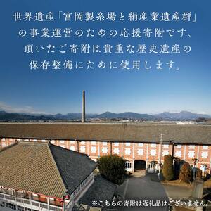 ＼世界遺産!!／ 富岡製糸場 応援寄附金 50,000円分（返礼品なし） F20E-948