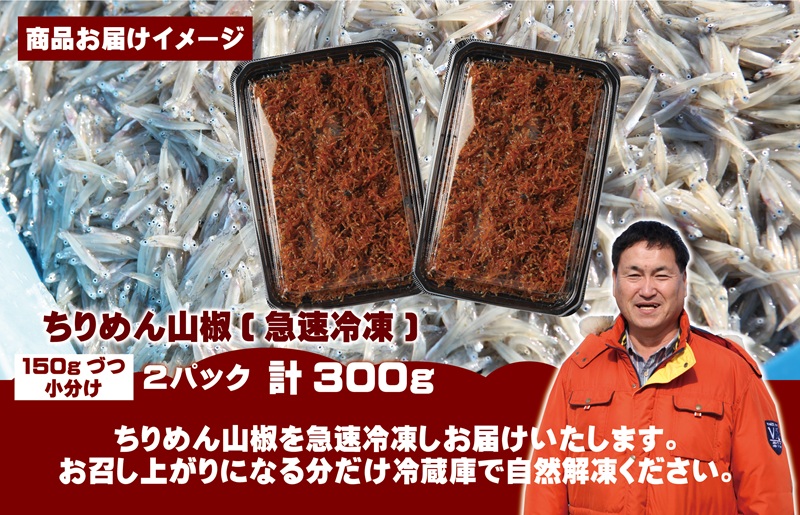 【お試し】しらす漁師が自らお届け！真面目漁師 濱ちゃんのこだわり ちりめん山椒しらす 300g 小分け 150g×2P