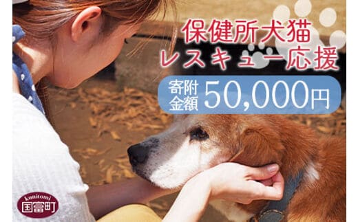 
										
										＜保健所犬猫レスキュー【返礼品なしのご寄附】＞寄付金額50,000円※お礼状をお送りいたします。【0624_in】
									