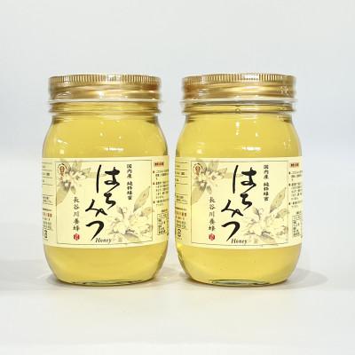 ふるさと納税 南伊勢町 国産　純粋アカシアはちみつ　500g×2本セット　三重県南伊勢町