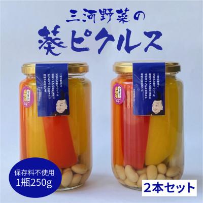 ふるさと納税 岡崎市 三河野菜の葵ピクルス「あいちの家康酢漬」250gびん2本