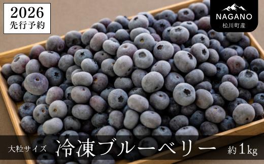 
            KB05-26A 【先行予約】2026収穫 冷凍ブルーベリー 約1kg【2Lサイズ以上】／2026年8月上旬頃から順次発送｜ 長野県 南信州 松川町 摘みたて 朝摘み 新鮮 安全 産地直送 農家直送 大粒 2Lサイズ以上 冷凍 ブルーベリー 果物 フルーツ
          