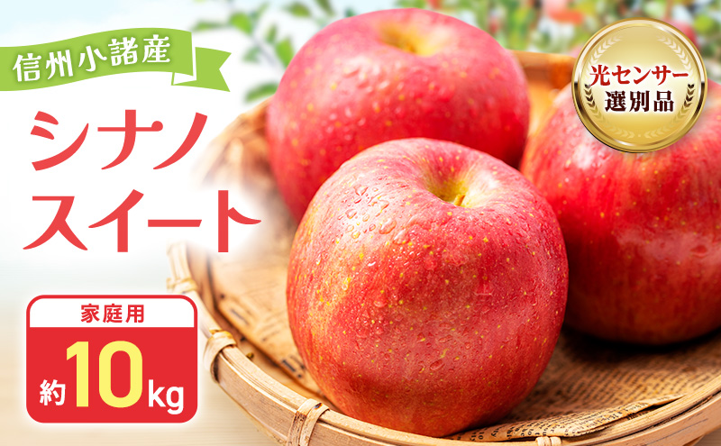 【先行予約】令和8年度産 訳あり りんご シナノスイート 約10kg 24～40玉入 家庭用 フルーツ 果物 甘い 訳あり おいしい 林檎