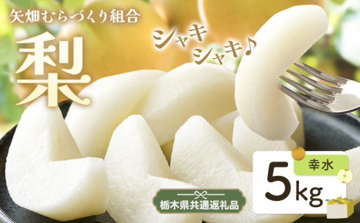 N01 梨 なし 幸水 5kgフルーツ 先行予約 矢畑むらづくり組合《7月下旬-8月中旬頃出荷》 栃木県【栃木県共通返礼品　栃木県産】【配送不可地域あり】(離島)