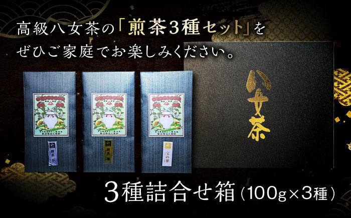 八女茶 煎茶 極・煎茶 誉・宝の翠 100g 3種詰合せ箱＜株式会社くしだ企画＞那珂川市 [GZL003]