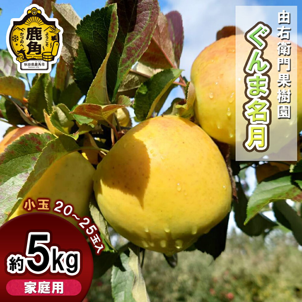 【ふるさと納税】 由右衛門果樹園 りんご 家庭用 「 ぐんま名月 」小玉 約5kg （ 20～25玉 ） りんご リンゴ 訳あり 完熟 旬 県産りんご お中元 お歳暮 グルメ ギフト 故郷 秋田 あきた 鹿角市 鹿角 送料無料 【由右衛門果樹園】