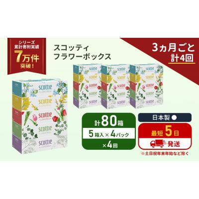 ふるさと納税 岩沼市 定期便 ティッシュ スコッティ80箱 (5箱×4P)《計4 回》[No.5704-1136] |  | 01