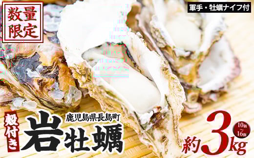 
            夏に美味い岩がき 約3.0kg 錦盛丸水産 (計約3.0kg・10個×約300g)【錦盛丸水産】kinsei-1298-02R7
          