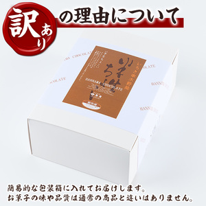 【訳あり】ご自宅用！半生ちょこ　合計17個【A-1596H】