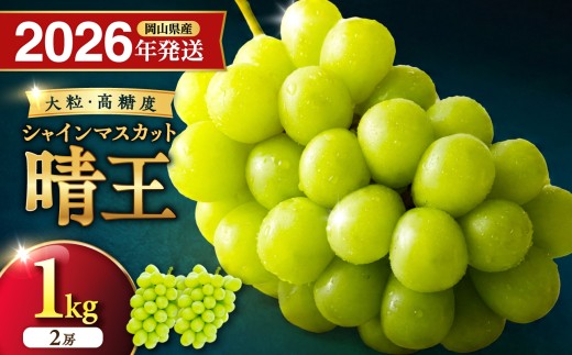 【2026年発送分】岡山県産シャインマスカット「晴王」 秀品　約1㎏（2房）（令和8年8月中旬～10月頃発送）【 シャインマスカット 晴王 フルーツ 果物 くだもの 葡萄 ぶどう 御中元 ギフト プレゼント 御祝 岡山県産 秀品 種無し 高糖度  】hz-s