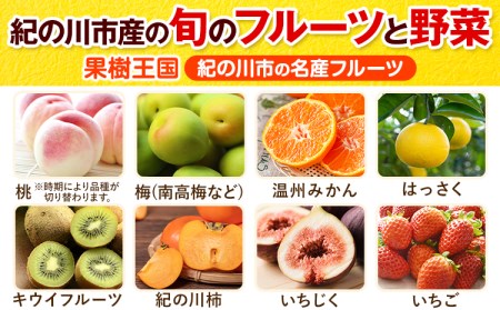 野菜 野菜セット 【6ヶ月定期便】紀の川市の恵み 旬のフルーツ＆野菜セット 計8~10品《お申込み月翌月から出荷開始》和歌山県 紀の川市 フルーツ 果物 野菜 セット