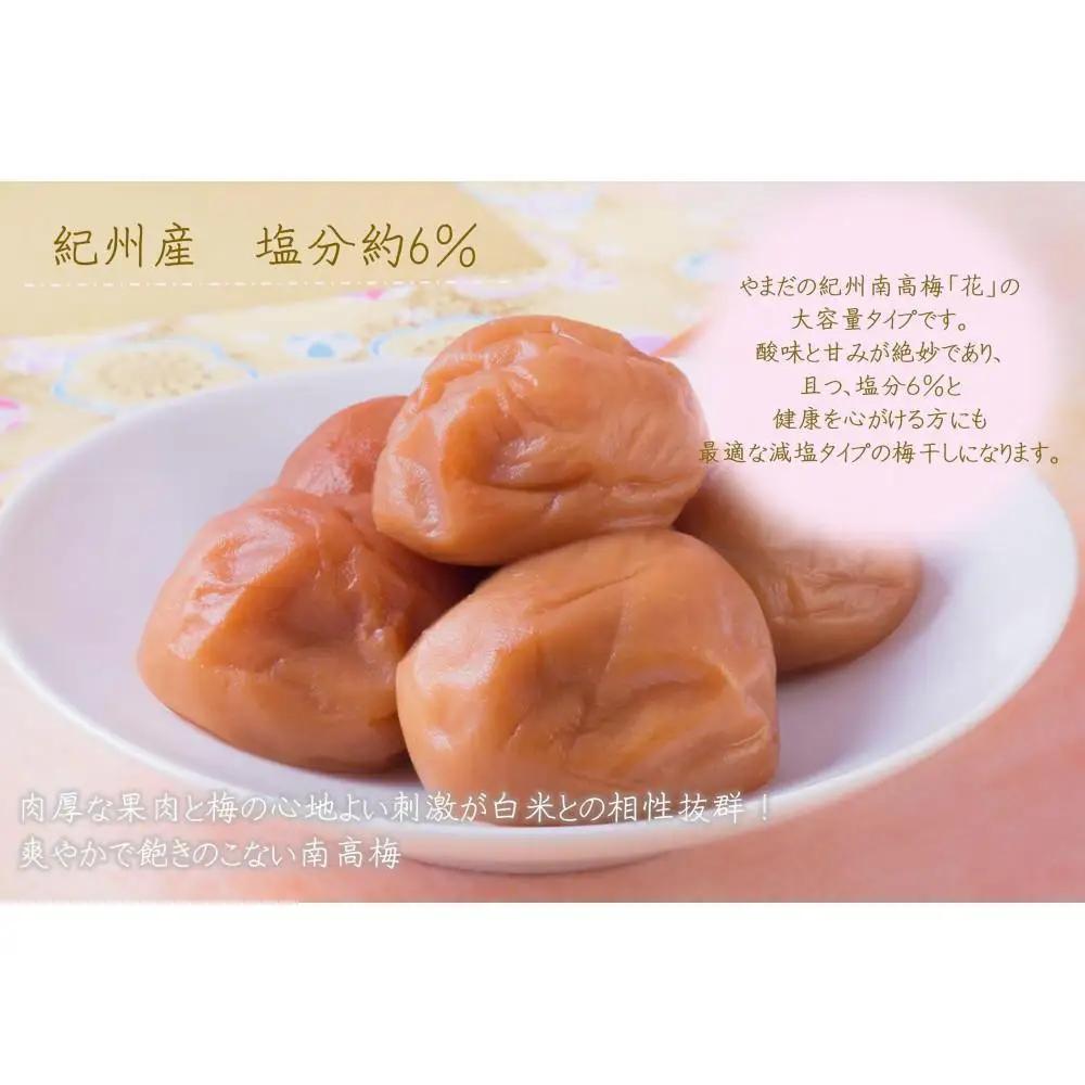 【定期便・2ヵ月毎 全5回】ご家庭用 紀州南高梅 うす塩 つぶれ 700g×2 ［YM15］