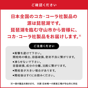 煌(ファン) 烏龍茶 PET 2L（6本入） お茶 烏龍茶 休憩 お手軽 おいしい 香り豊か まとめ買い お家に届く  コカ・コーラ BB-0057