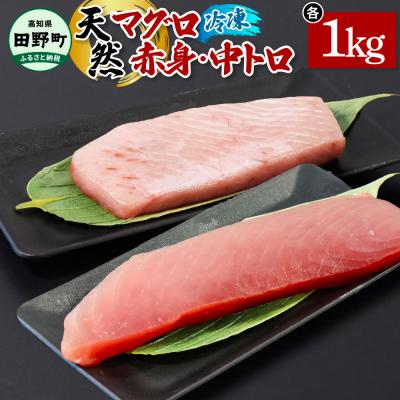 ふるさと納税 田野町 【四国一小さなまち】天然マグロ(赤身・中トロ)各1kg ★冷凍★